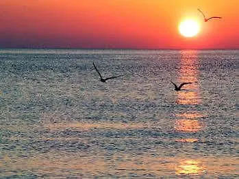 La Perla Preziosa 3* Grottammare